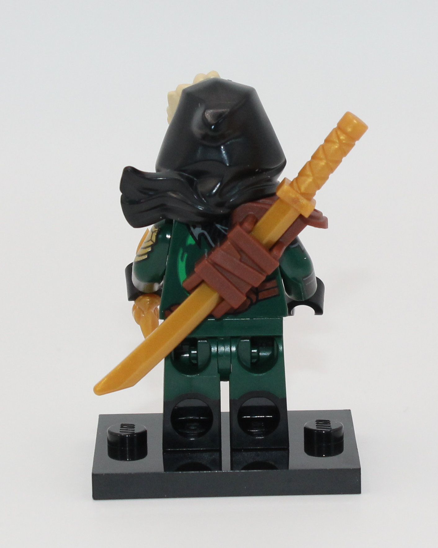 Mysterious Ronin back view