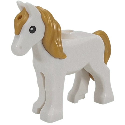 Animal, Foal