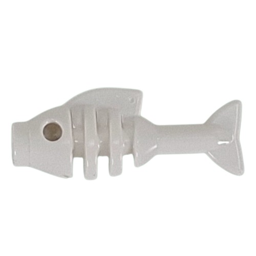 Animal, Fish Skeleton